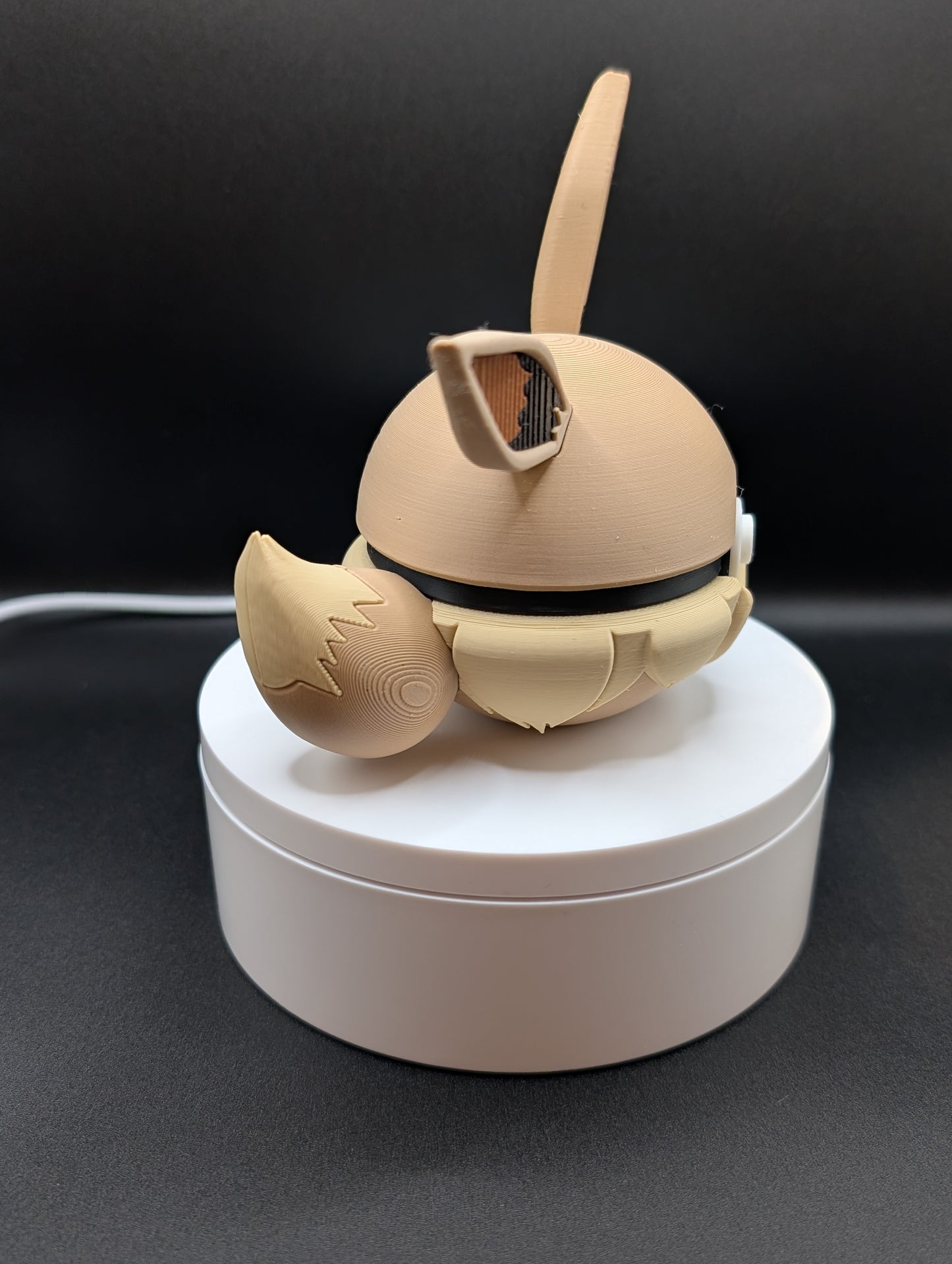 Pokéball - Evoli